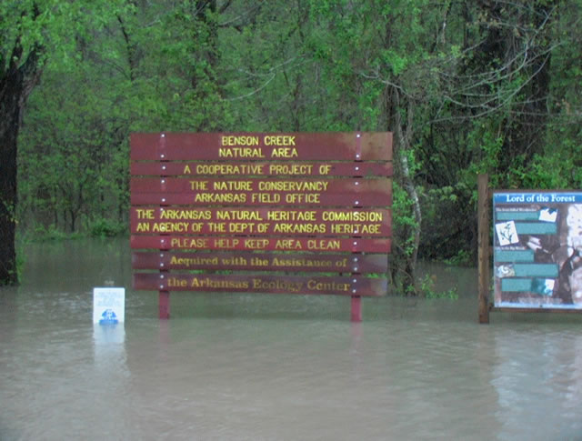 Benson Creeek sign in high water