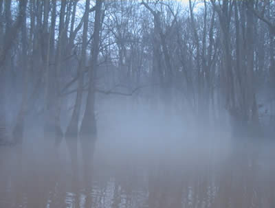 Foggy day on Bayou De View