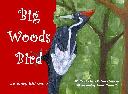 Big Woods Bird children's book