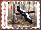 IBWO Conservation Stamp